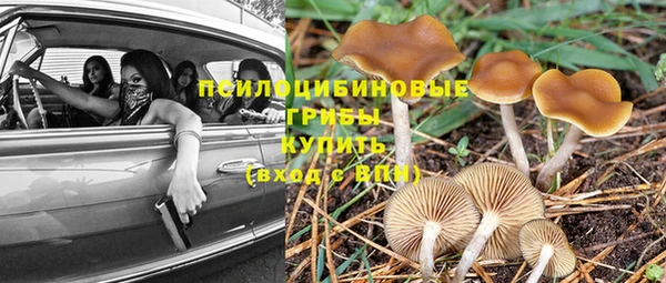 COCAINE Белоозёрский